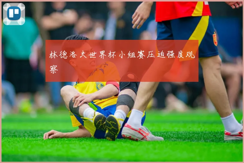 林德洛夫世界杯小组赛压迫强度观察