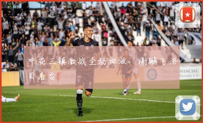 申花三镇激战全场回放，谢鹏飞泪目看台
