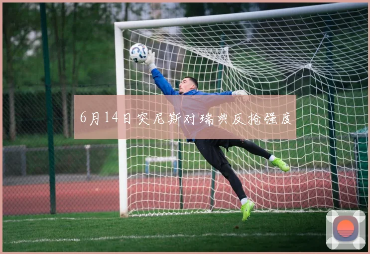 6月14日突尼斯对瑞典反抢强度