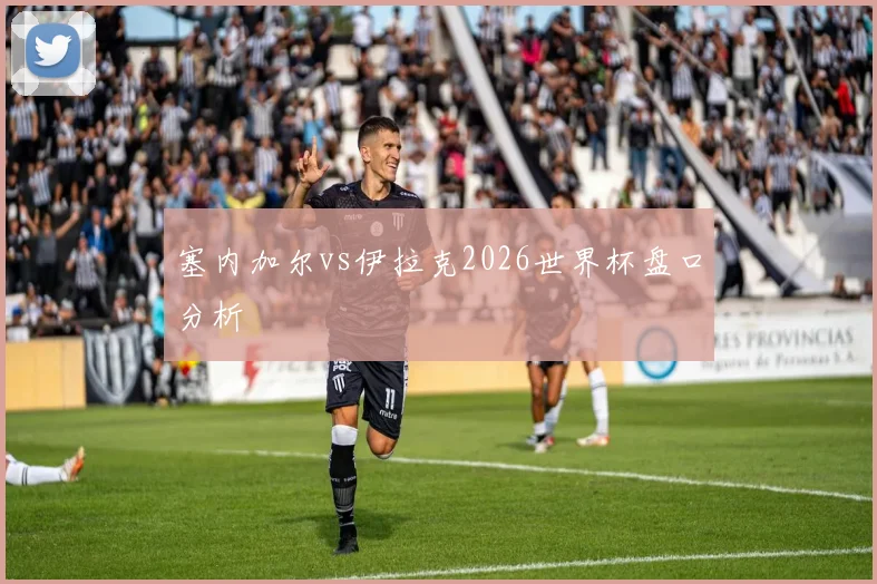 塞内加尔vs伊拉克2026世界杯盘口分析