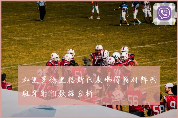 加里罗德里格斯代表佛得角对阵西班牙射门数据分析